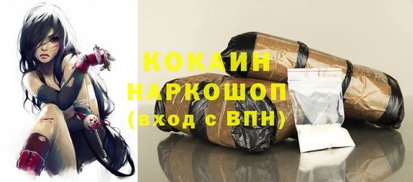 эйфоретик Богданович