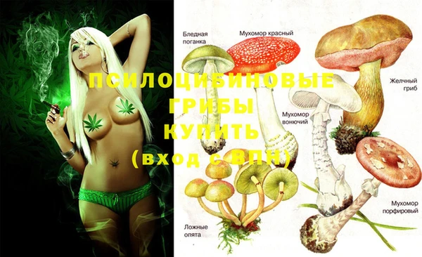 дурь Белоозёрский