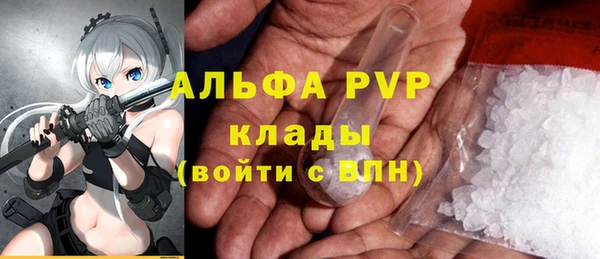 эйфоретик Богданович