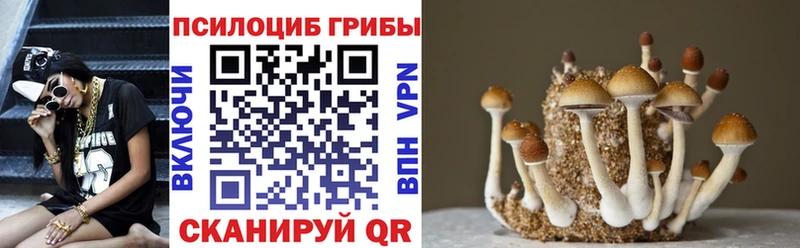 KRAKEN ССЫЛКА  Велиж  Галлюциногенные грибы прущие грибы 